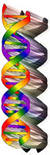 12 strand dna activation scientific